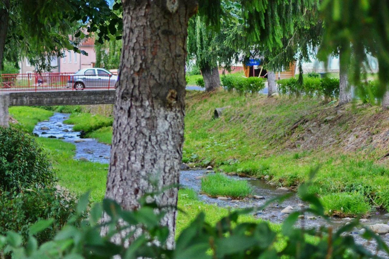 Pensiunea Salas Salasu de Sus Exterior foto